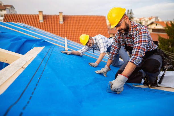 Best Sealant for Roof  in Eddyville, IA